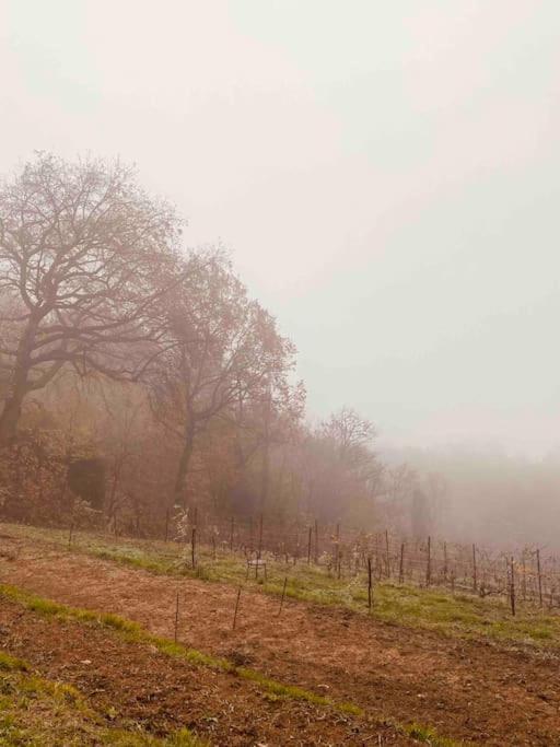 La Quercia E Lo Scoiattolo Bed & Breakfast Sotto il Monte Exterior photo