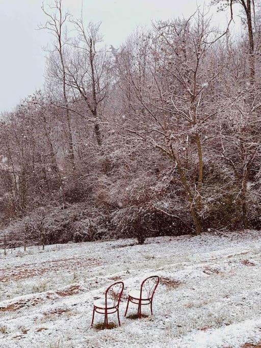 La Quercia E Lo Scoiattolo Bed & Breakfast Sotto il Monte Exterior photo